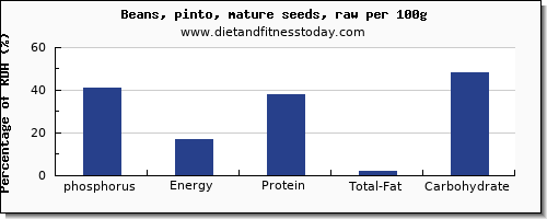 phosphorus and nutrition facts in pinto beans per 100g